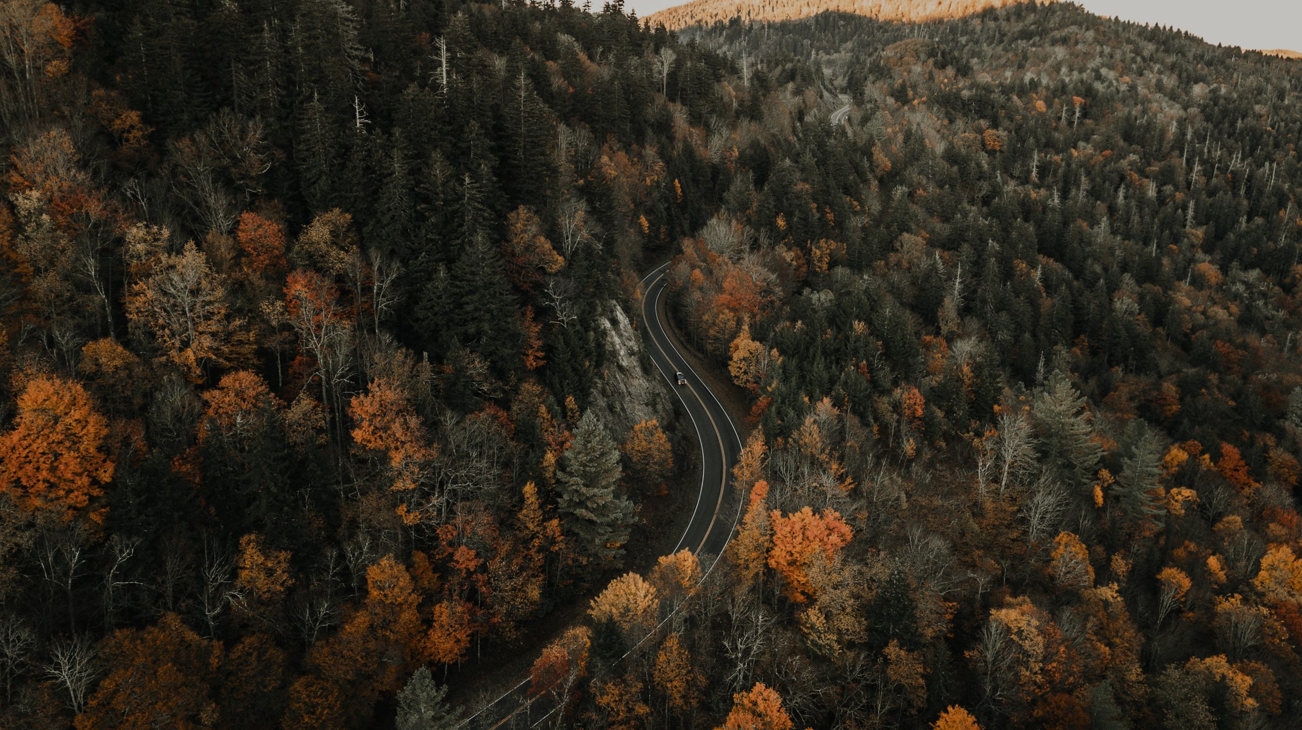 car driving in a rural area surrounded by trees